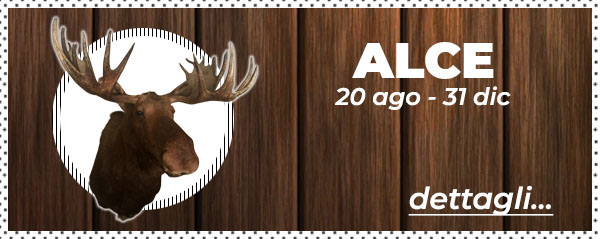 Caccia agli alci in Bielorussia