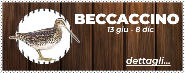 Caccia allo Snipe in Bielorussia