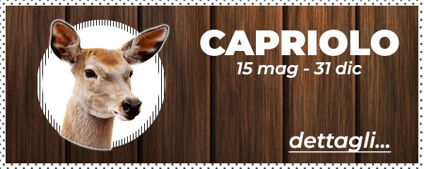 Caccia al capriolo in Bielorussia