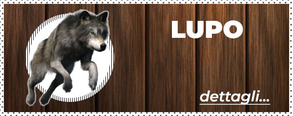 Caccia al lupo in Bielorussia