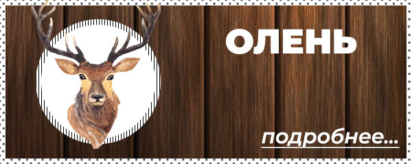 Охота на Оленя в Беларуси